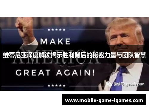 维蒂尼亚深度解读揭示胜利背后的秘密力量与团队智慧