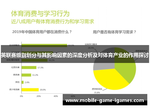 英联赛级别划分与其影响因素的深度分析及对体育产业的作用探讨