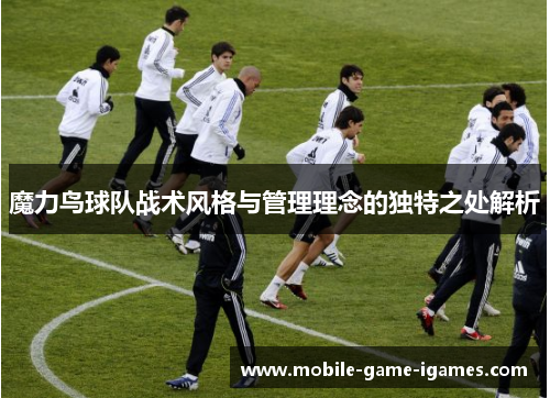 魔力鸟球队战术风格与管理理念的独特之处解析