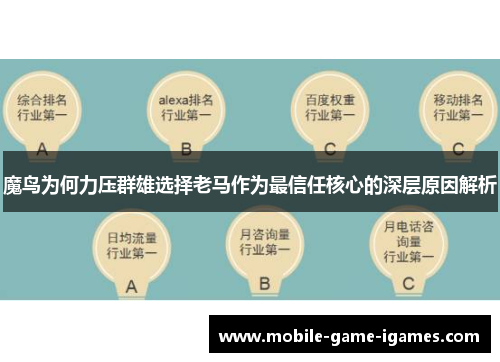 魔鸟为何力压群雄选择老马作为最信任核心的深层原因解析