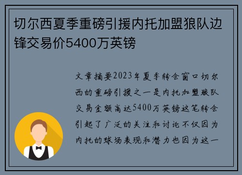 切尔西夏季重磅引援内托加盟狼队边锋交易价5400万英镑 切尔西夏季重磅引援内托加盟狼队边锋交易价5400万英镑